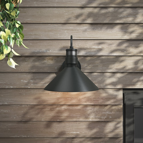 Beachcrest Home Rafal 1Light Dusk To Dawn Sensor and Motion Sensor